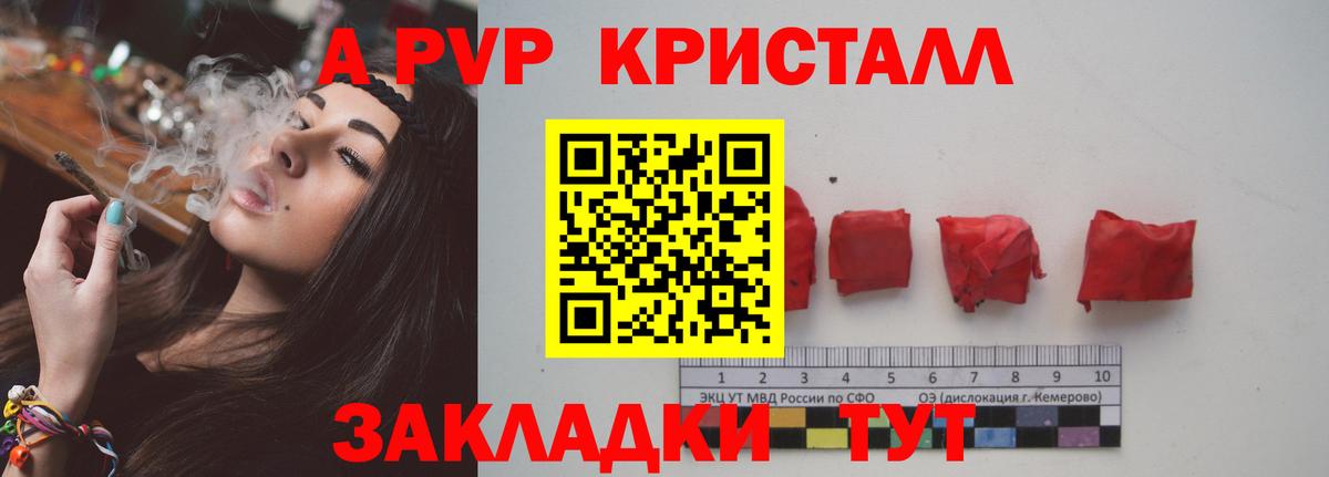 APVP крисы CK  Вход с VPN  Альфа ПВП СК КРИС  Сыктывкар 