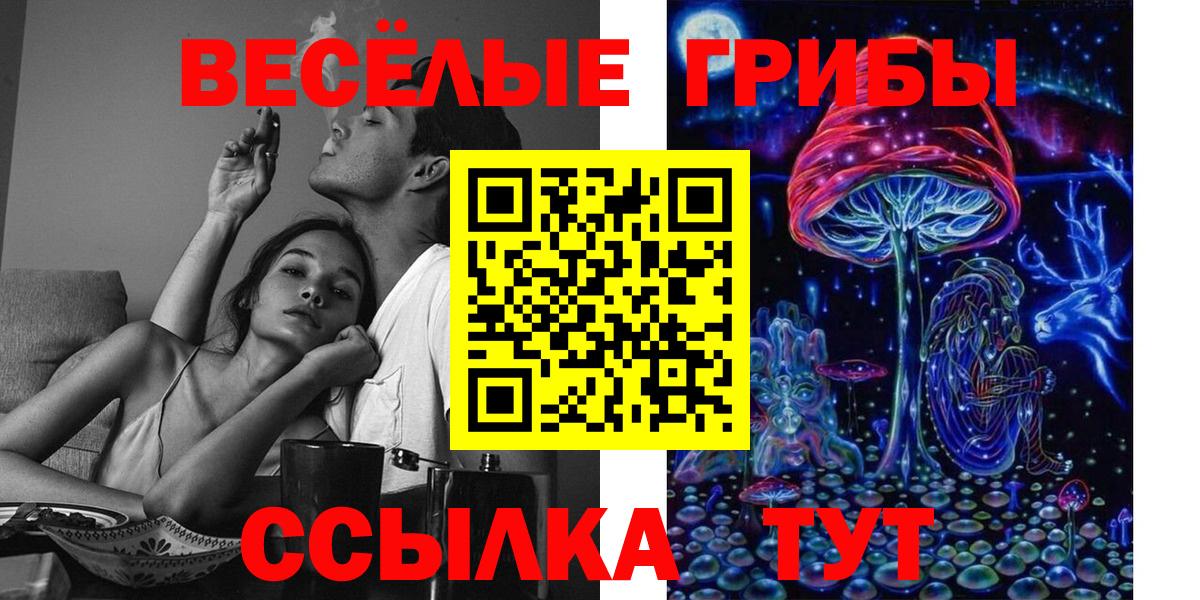 Псилоцибиновые грибы Psilocybe Сыктывкар
