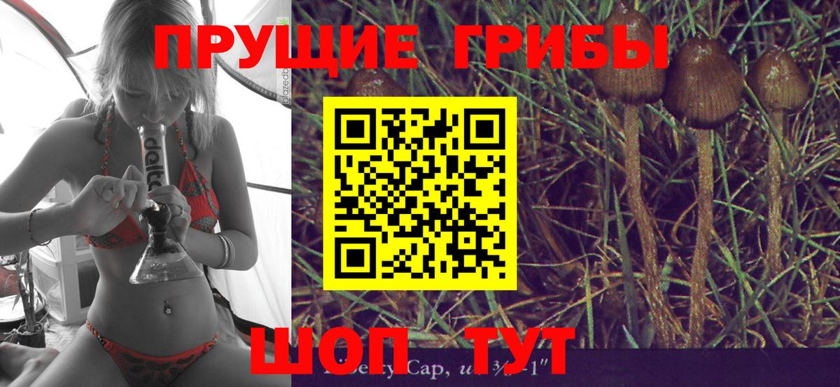 Псилоцибиновые грибы GOLDEN TEACHER  Галлюциногенные грибы Magic Shrooms  Вход с VPN  где продают   Сыктывкар 